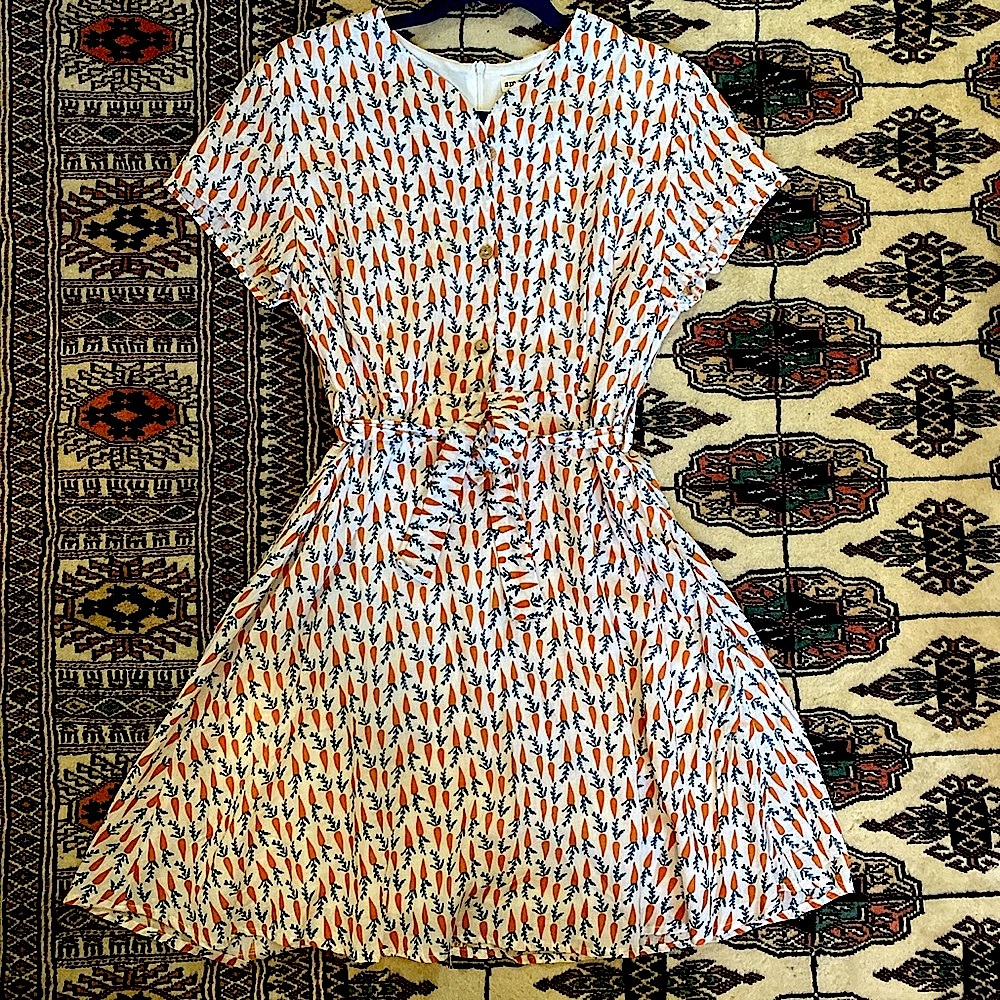 Adorable carrot print fit & flare dress NWOT